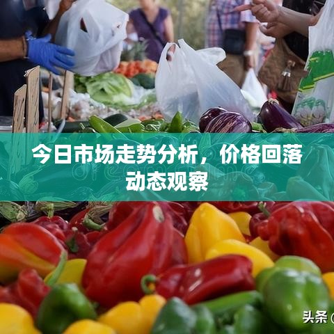 今日市場走勢分析，價格回落動態(tài)觀察