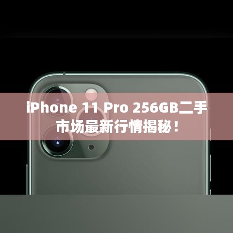 iPhone 11 Pro 256GB二手市場最新行情揭秘！