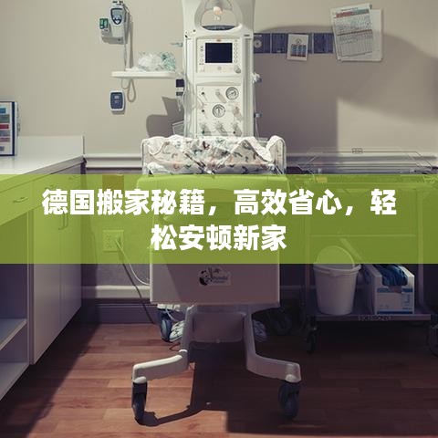 德國搬家秘籍，高效省心，輕松安頓新家