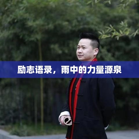 勵(lì)志語(yǔ)錄，雨中的力量源泉