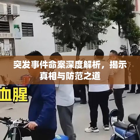 突發(fā)事件命案深度解析，揭示真相與防范之道
