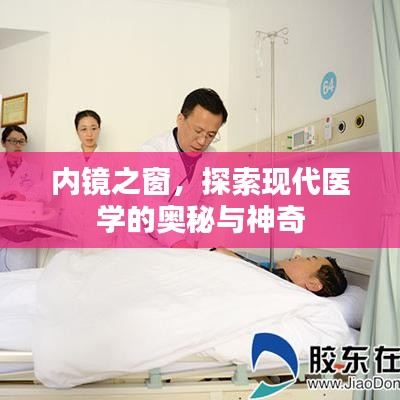 內(nèi)鏡之窗，探索現(xiàn)代醫(yī)學(xué)的奧秘與神奇