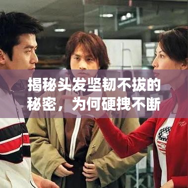 揭秘頭發(fā)堅韌不拔的秘密，為何硬拽不斷？