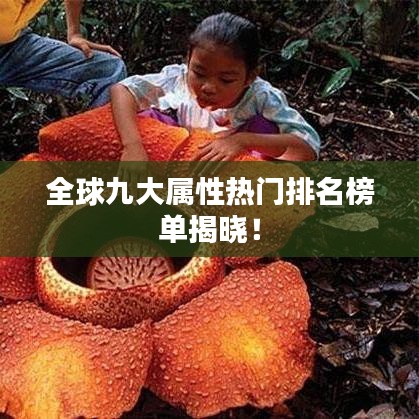 全球九大屬性熱門排名榜單揭曉！