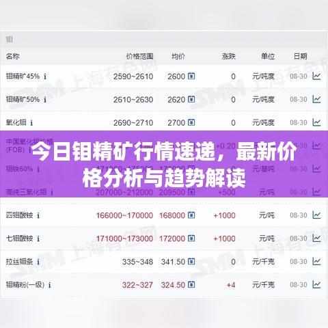 今日鉬精礦行情速遞，最新價(jià)格分析與趨勢(shì)解讀