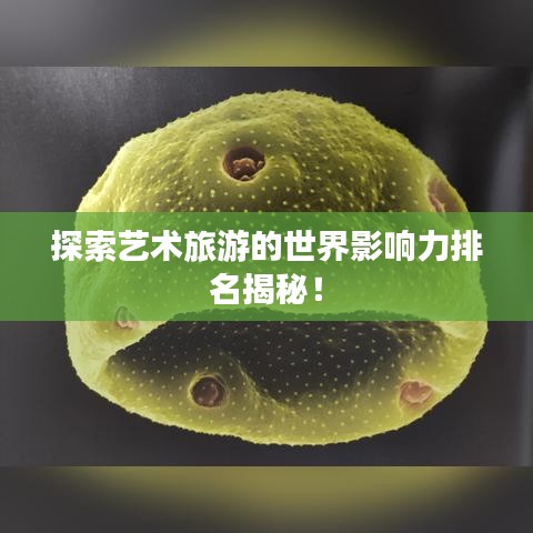 探索藝術(shù)旅游的世界影響力排名揭秘！