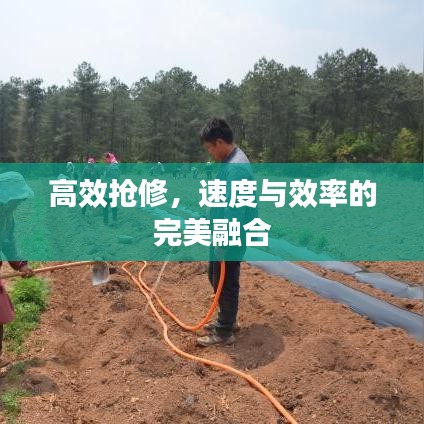 高效搶修，速度與效率的完美融合