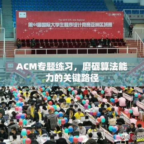 ACM專題練習(xí)，磨礪算法能力的關(guān)鍵路徑