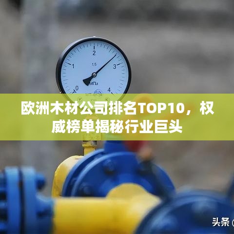 歐洲木材公司排名TOP10，權(quán)威榜單揭秘行業(yè)巨頭
