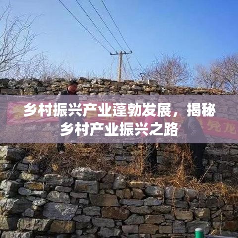 各就各位 第3頁(yè)