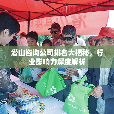 潛山咨詢公司排名大揭秘，行業(yè)影響力深度解析