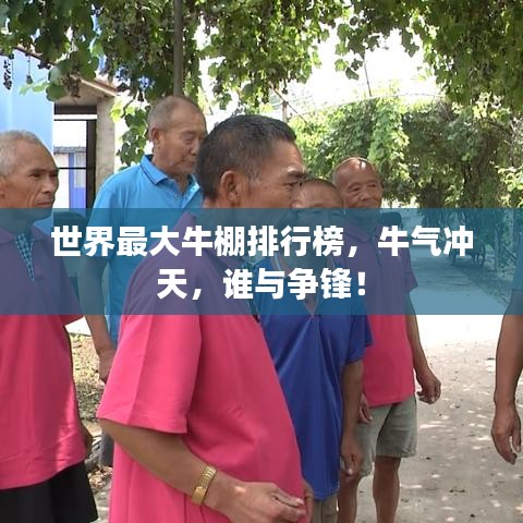 世界最大牛棚排行榜，牛氣沖天，誰(shuí)與爭(zhēng)鋒！