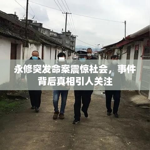 永修突發(fā)命案震驚社會(huì)，事件背后真相引人關(guān)注