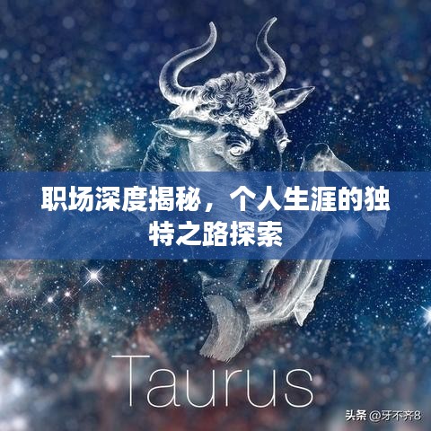 職場深度揭秘，個人生涯的獨(dú)特之路探索