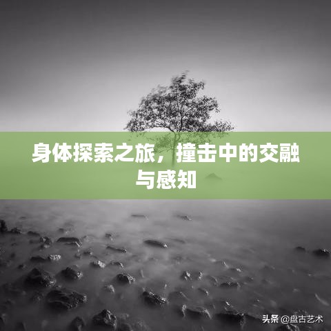 千嬌百媚 第3頁(yè)