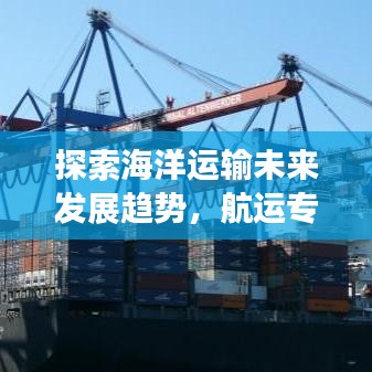 探索海洋運輸未來發(fā)展趨勢，航運專題揭秘行業(yè)前景