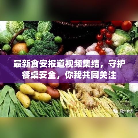 最新食安報(bào)道視頻集結(jié)，守護(hù)餐桌安全，你我共同關(guān)注