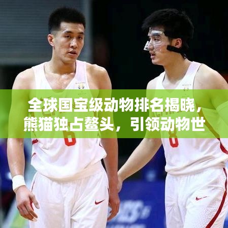 全球國寶級動物排名揭曉，熊貓獨占鰲頭，引領(lǐng)動物世界風(fēng)潮！