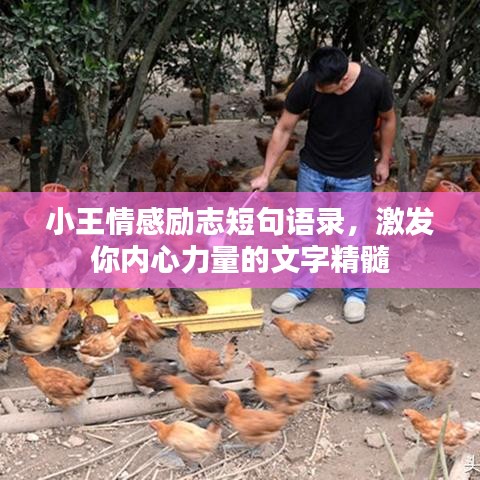 小王情感勵志短句語錄，激發(fā)你內(nèi)心力量的文字精髓