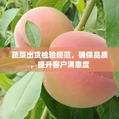 勤學苦練 第3頁
