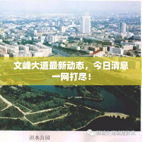 文峰大道最新動態(tài)，今日消息一網(wǎng)打盡！
