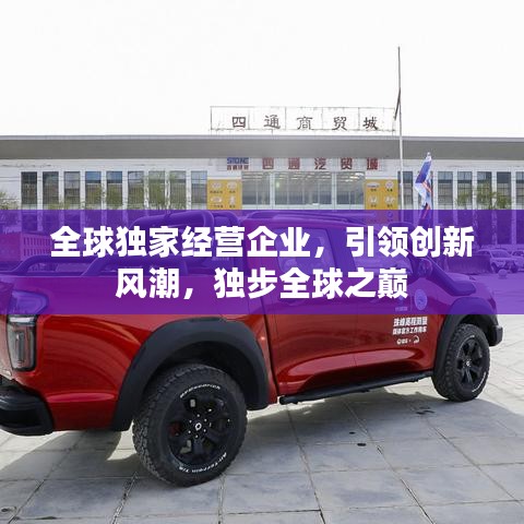 全球獨家經(jīng)營企業(yè)，引領(lǐng)創(chuàng)新風(fēng)潮，獨步全球之巔