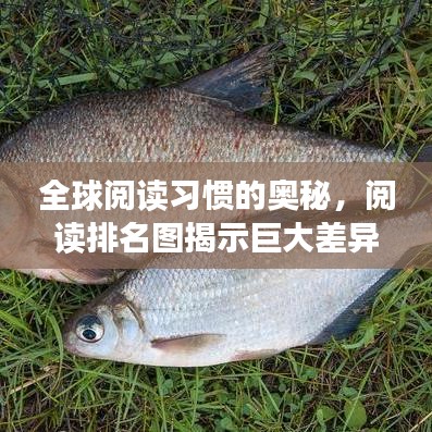 全球閱讀習(xí)慣的奧秘，閱讀排名圖揭示巨大差異！