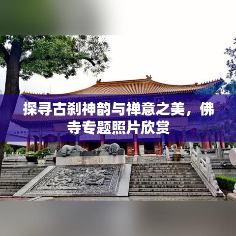 探尋古剎神韻與禪意之美，佛寺專題照片欣賞