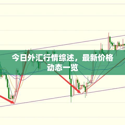 今日外匯行情綜述，最新價格動態(tài)一覽
