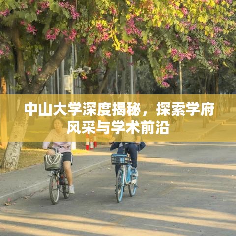 中山大學深度揭秘，探索學府風采與學術前沿
