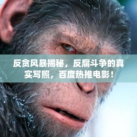反貪風(fēng)暴揭秘，反腐斗爭的真實寫照，百度熱推電影！
