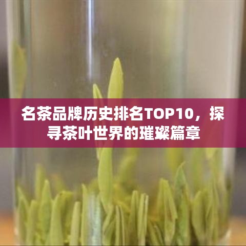 名茶品牌歷史排名TOP10，探尋茶葉世界的璀璨篇章