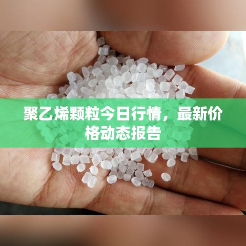聚乙烯顆粒今日行情，最新價格動態(tài)報告