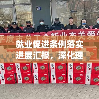 就業(yè)促進條例落實進展匯報，深化理解，積極行動