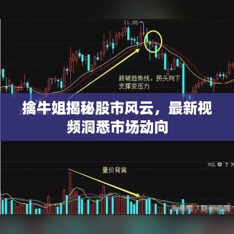擒牛姐揭秘股市風(fēng)云，最新視頻洞悉市場動向