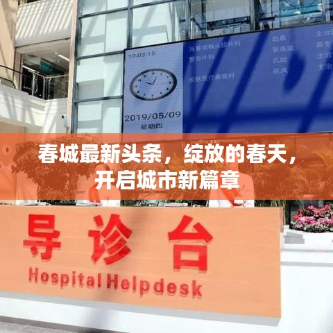 春城最新頭條，綻放的春天，開啟城市新篇章