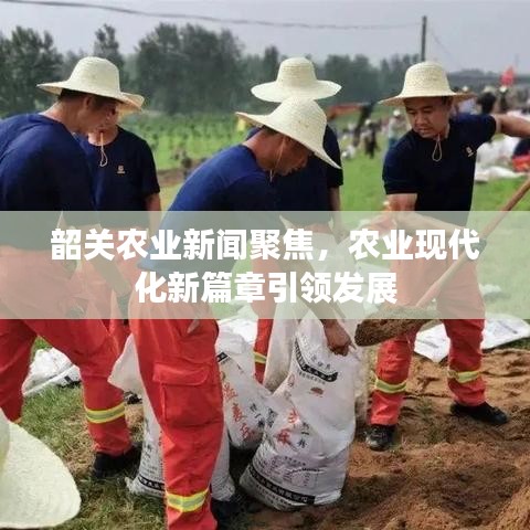 韶關(guān)農(nóng)業(yè)新聞聚焦，農(nóng)業(yè)現(xiàn)代化新篇章引領(lǐng)發(fā)展