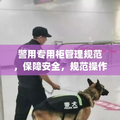 警用專(zhuān)用柜管理規(guī)范，保障安全，規(guī)范操作，提升警務(wù)效率