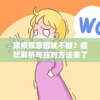 尿頻尿急困擾不斷？癥狀解析與應(yīng)對(duì)方法來(lái)了！