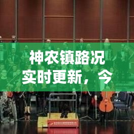 神農(nóng)鎮(zhèn)路況實(shí)時(shí)更新，今日路況最新消息匯總