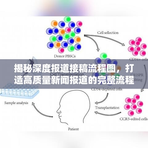 揭秘深度報道接稿流程圖，打造高質(zhì)量新聞報道的完整流程揭秘