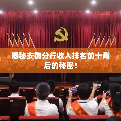 揭秘安徽分行收入排名前十背后的秘密！