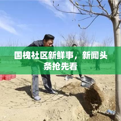 國槐社區(qū)新鮮事，新聞?lì)^條搶先看
