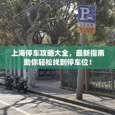 上海停車攻略大全，最新指南助你輕松找到停車位！
