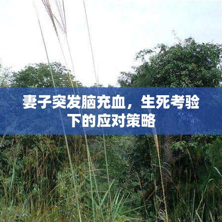 妻子突發(fā)腦充血，生死考驗(yàn)下的應(yīng)對策略
