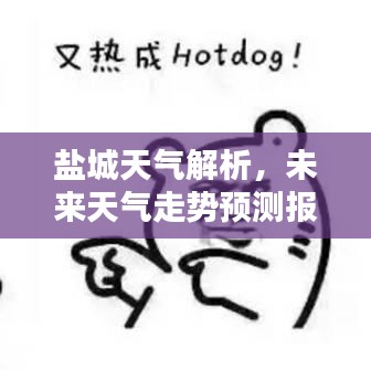 鹽城天氣解析，未來天氣走勢(shì)預(yù)測(cè)報(bào)告！
