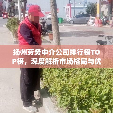 揚(yáng)州勞務(wù)中介公司排行榜TOP榜，深度解析市場格局與優(yōu)質(zhì)服務(wù)商！