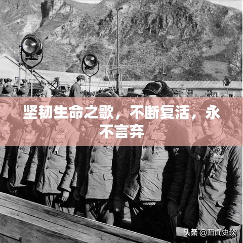 堅(jiān)韌生命之歌，不斷復(fù)活，永不言棄