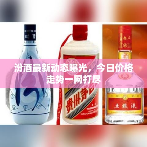 汾酒最新動態(tài)曝光，今日價格走勢一網(wǎng)打盡