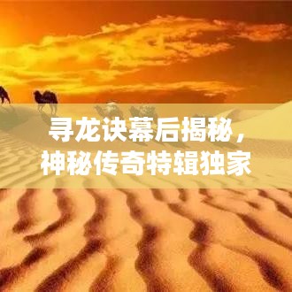 尋龍?jiān)E幕后揭秘，神秘傳奇特輯獨(dú)家呈現(xiàn)